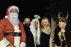 Santa-NsP